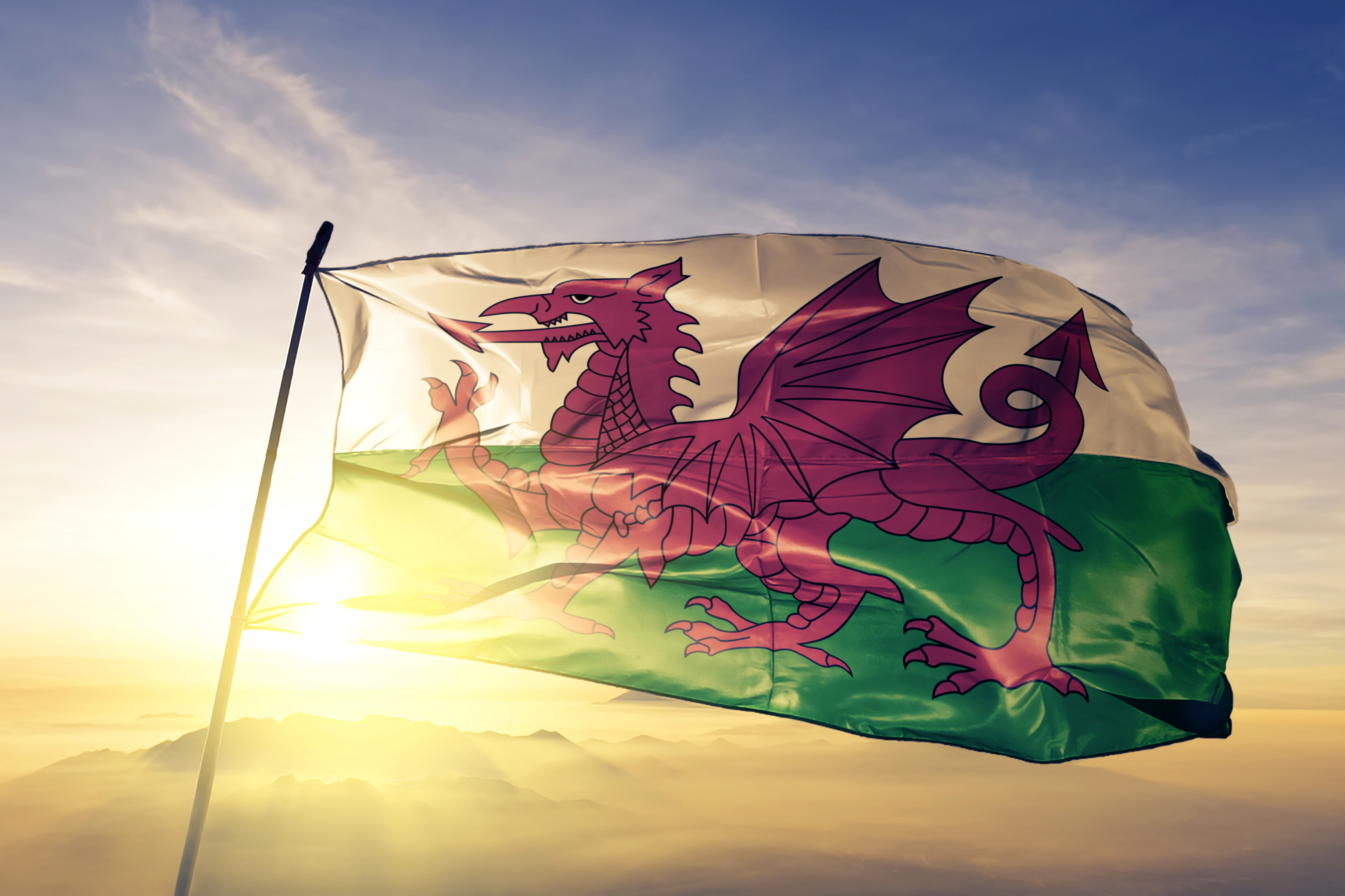 Logo related to People in Wales