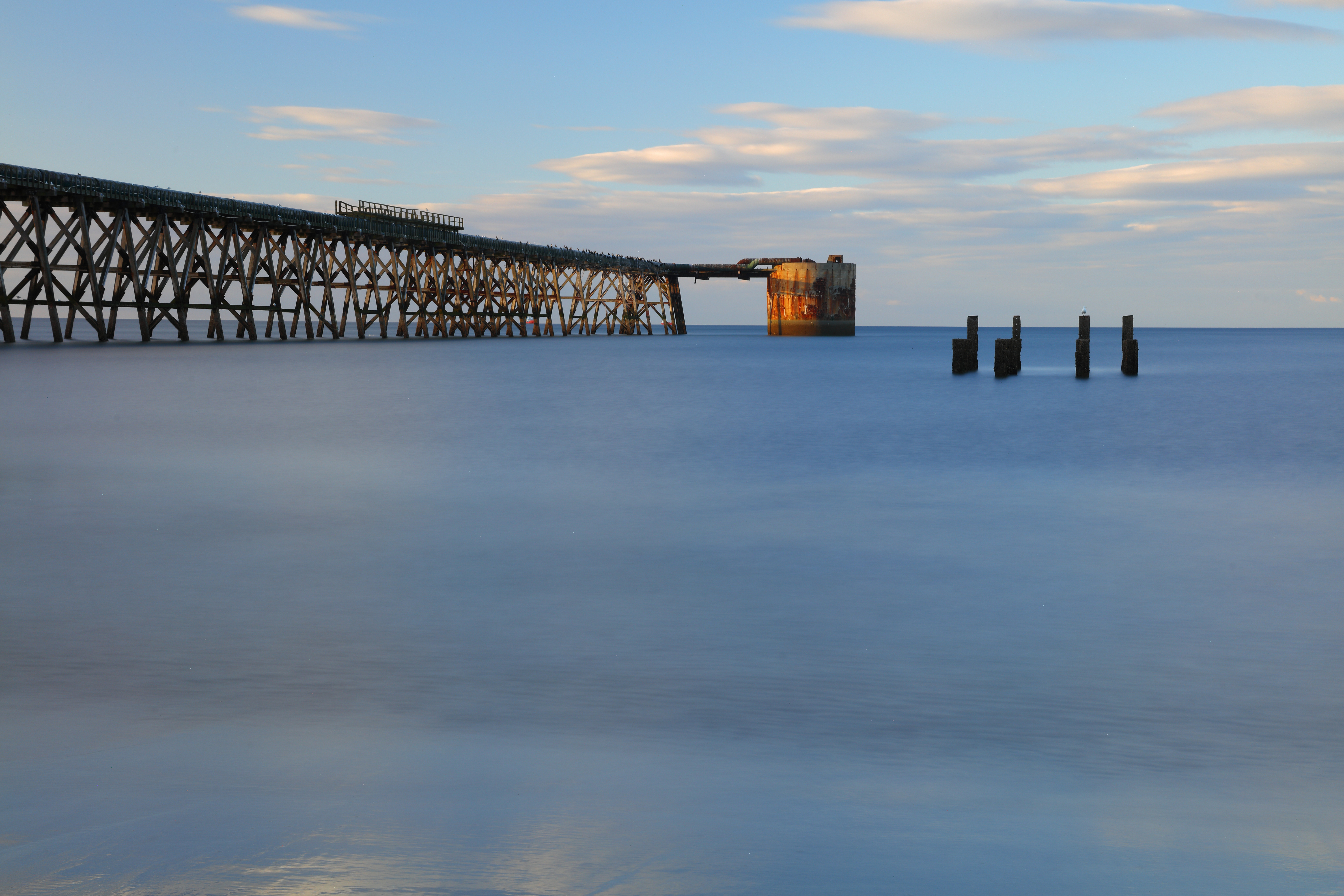 Logo related to TV Extras | Hartlepool and the North East