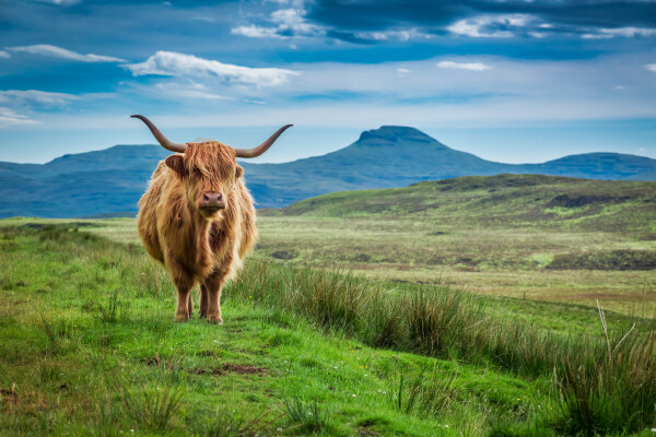 Image related to Scottish Highlands | Film & TV Extras Wanted